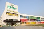 Sheoran International School