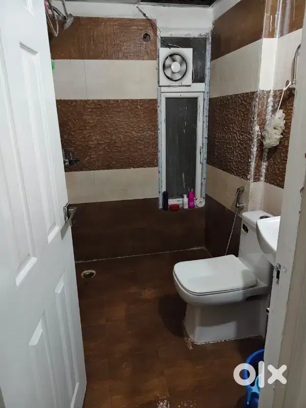 Need a female working flatmate